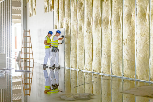 Best Cellulose Insulation in Twinsburg, OH